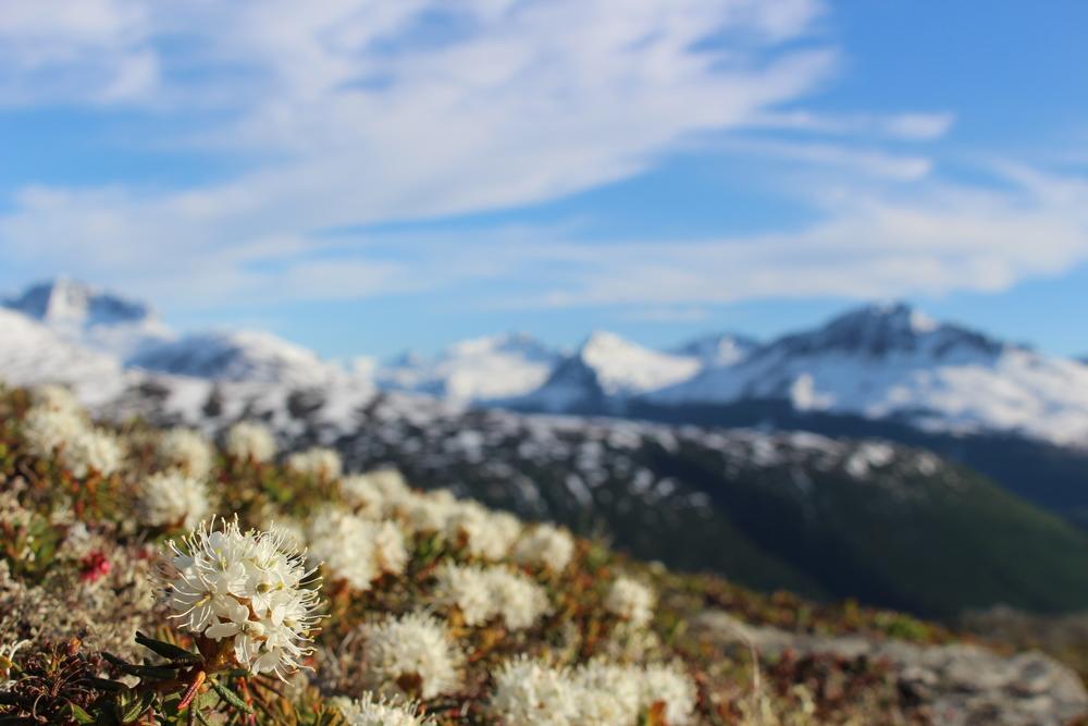 Glacier Hotel Валдиз Экстерьер фото